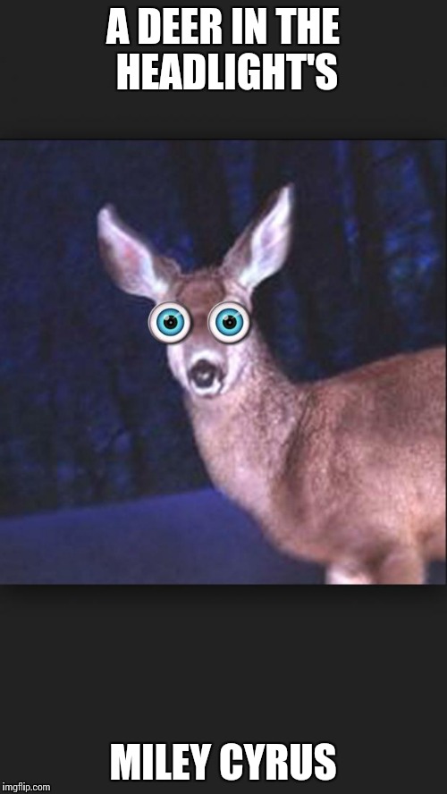 deer in headlights | A DEER IN THE HEADLIGHT'S MILEY CYRUS | image tagged in deer in headlights | made w/ Imgflip meme maker