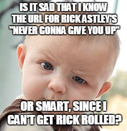 I Beat The System Guys | IS IT SAD THAT I KNOW THE URL FOR RICK ASTLEY'S "NEVER GONNA GIVE YOU UP" OR SMART, SINCE I CAN'T GET RICK ROLLED? | image tagged in memes,skeptical baby,rick roll,never gonna give you up,rick astley,url | made w/ Imgflip meme maker