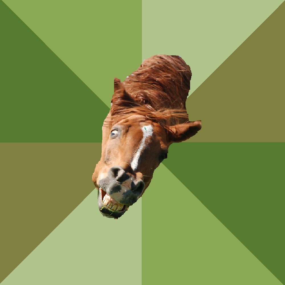 schizo horse Blank Meme Template