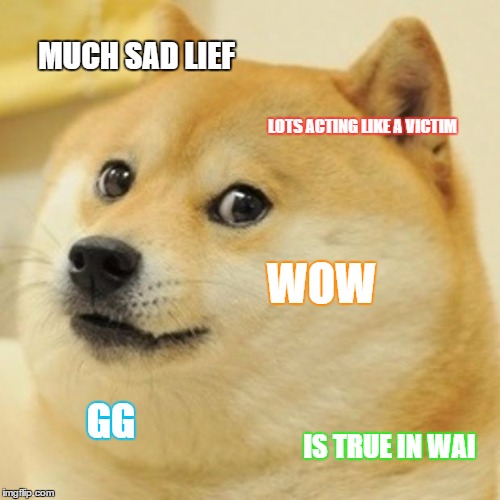 Doge Meme | MUCH SAD LIEF LOTS ACTING LIKE A VICTIM WOW GG IS TRUE IN WAI | image tagged in memes,doge | made w/ Imgflip meme maker