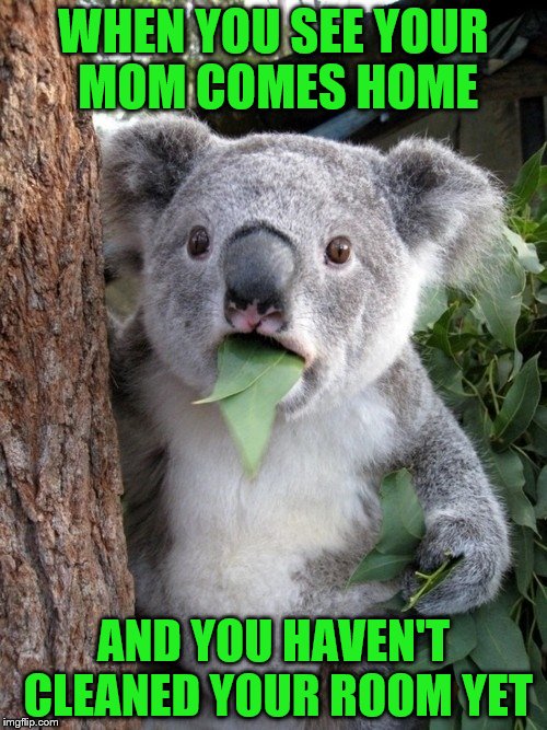Surprised Koala | WHEN YOU SEE YOUR MOM COMES HOME AND YOU HAVEN'T CLEANED YOUR ROOM YET | image tagged in memes,surprised coala | made w/ Imgflip meme maker