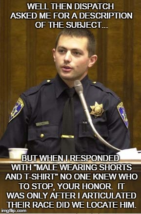 Police Officer Testifying | WELL THEN DISPATCH ASKED ME FOR A DESCRIPTION OF THE SUBJECT... BUT WHEN I RESPONDED WITH "MALE WEARING SHORTS AND T-SHIRT" NO ONE KNEW WHO  | image tagged in memes,police officer testifying | made w/ Imgflip meme maker