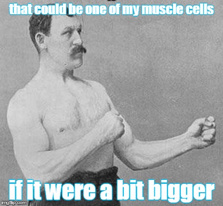 that could be one of my muscle cells if it were a bit bigger | made w/ Imgflip meme maker