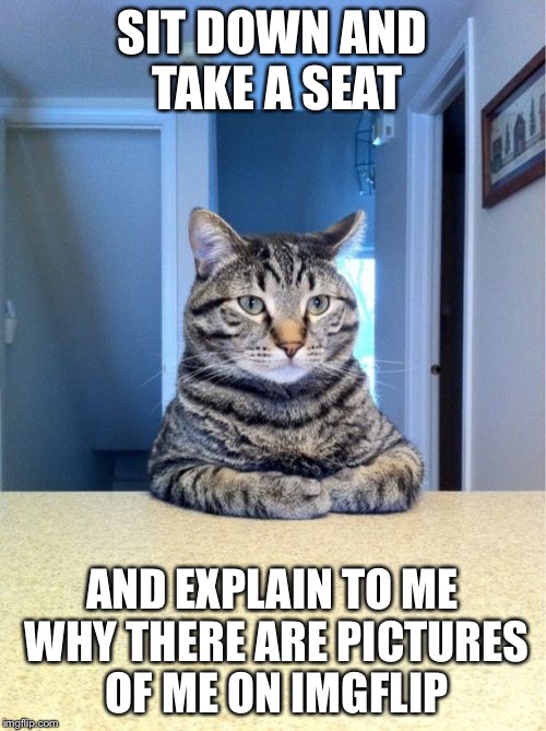 Take A Seat Cat | SIT DOWN AND TAKE A SEAT AND EXPLAIN TO ME WHY THERE ARE PICTURES OF ME ON IMGFLIP | image tagged in memes,take a seat cat | made w/ Imgflip meme maker