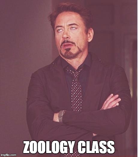 Face You Make Robert Downey Jr Meme | ZOOLOGY CLASS | image tagged in memes,face you make robert downey jr | made w/ Imgflip meme maker