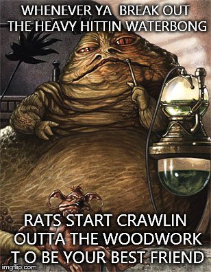 Star Wars Jabba the Hut | WHENEVER YA  BREAK OUT THE HEAVY HITTIN WATERBONG RATS START CRAWLIN OUTTA THE WOODWORK T O BE YOUR BEST FRIEND | image tagged in star wars jabba the hut | made w/ Imgflip meme maker