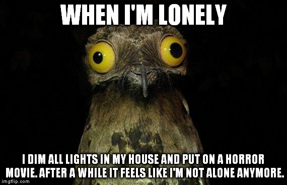 Weird Stuff I Do Potoo | WHEN I'M LONELY I DIM ALL LIGHTS IN MY HOUSE AND PUT ON A HORROR MOVIE. AFTER A WHILE IT FEELS LIKE I'M NOT ALONE ANYMORE. | image tagged in memes,weird stuff i do potoo | made w/ Imgflip meme maker