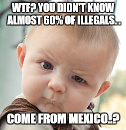 Skeptical Baby Meme | WTF? YOU DIDN'T KNOW ALMOST 60% OF ILLEGALS. . COME FROM MEXICO..? | image tagged in memes,skeptical baby | made w/ Imgflip meme maker