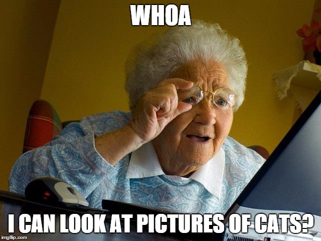 Grandma Finds The Internet Meme | WHOA I CAN LOOK AT PICTURES OF CATS? | image tagged in memes,grandma finds the internet | made w/ Imgflip meme maker