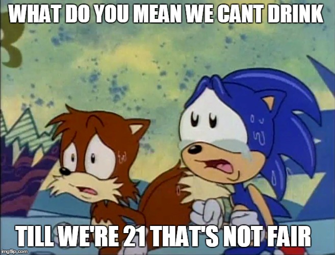 21 | WHAT DO YOU MEAN WE CANT DRINK TILL WE'RE 21 THAT'S NOT FAIR | image tagged in sonic the hedgehog | made w/ Imgflip meme maker