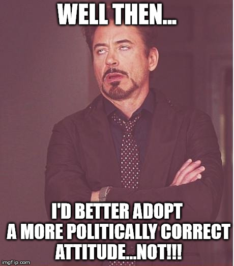 Face You Make Robert Downey Jr Meme | WELL THEN... I'D BETTER ADOPT A MORE POLITICALLY CORRECT ATTITUDE...NOT!!! | image tagged in memes,face you make robert downey jr | made w/ Imgflip meme maker