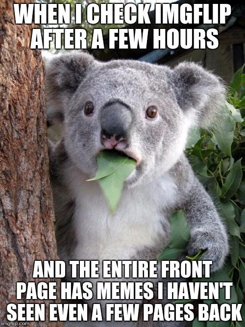 Surprised Koala | WHEN I CHECK IMGFLIP AFTER A FEW HOURS AND THE ENTIRE FRONT PAGE HAS MEMES I HAVEN'T SEEN EVEN A FEW PAGES BACK | image tagged in memes,surprised koala,imgflip,internet,front page | made w/ Imgflip meme maker
