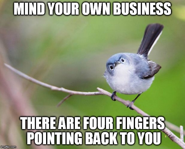 Mind Your Own Business! | MIND YOUR OWN BUSINESS THERE ARE FOUR FINGERS POINTING BACK TO YOU | image tagged in mind your own business | made w/ Imgflip meme maker