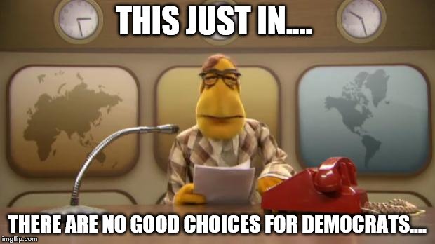 muppetnewsflash | THIS JUST IN.... THERE ARE NO GOOD CHOICES FOR DEMOCRATS.... | image tagged in muppetnewsflash | made w/ Imgflip meme maker