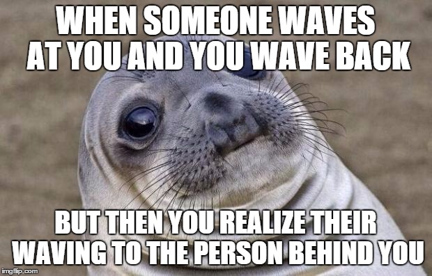 Awkward Moment Sealion | WHEN SOMEONE WAVES AT YOU AND YOU WAVE BACK BUT THEN YOU REALIZE THEIR WAVING TO THE PERSON BEHIND YOU | image tagged in memes,awkward moment sealion | made w/ Imgflip meme maker