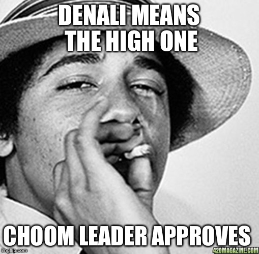 about the renaming of Mt. McKinley  | DENALI MEANS THE HIGH ONE CHOOM LEADER APPROVES | image tagged in being cool,denali,memes | made w/ Imgflip meme maker