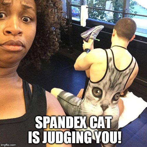 SPANDEX CAT IS JUDGING YOU! | image tagged in spandex cat | made w/ Imgflip meme maker