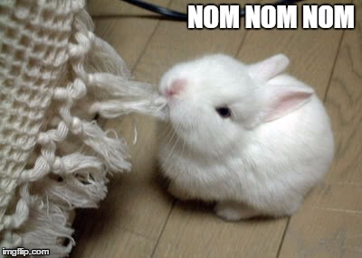 Eat Bunny, Eat! | NOM NOM NOM | image tagged in eat bunny eat! | made w/ Imgflip meme maker