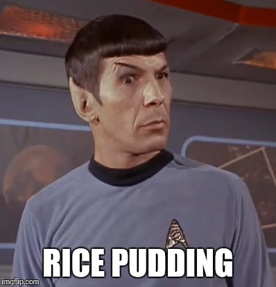 Spock | RICE PUDDING | image tagged in spock bemused | made w/ Imgflip meme maker