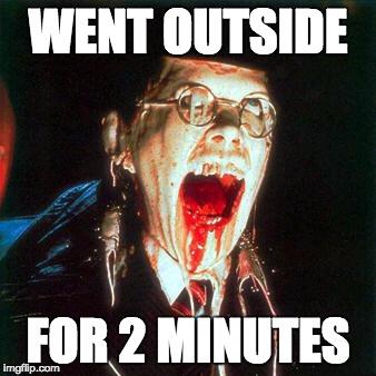 Went Outside For 2 Minutes... Face Melted Off... Too Hot | WENT OUTSIDE FOR 2 MINUTES | image tagged in summer,melting,too hot | made w/ Imgflip meme maker