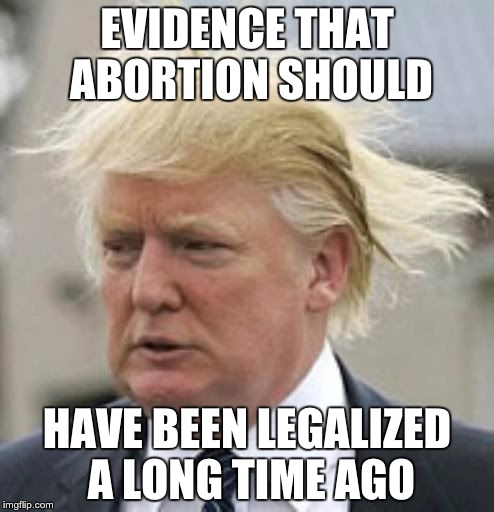 Donald Trump 1 | EVIDENCE THAT ABORTION SHOULD HAVE BEEN LEGALIZED A LONG TIME AGO | image tagged in donald trump 1 | made w/ Imgflip meme maker
