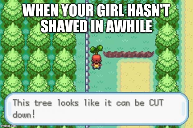 Pokemon Tree | WHEN YOUR GIRL HASN'T SHAVED IN AWHILE | image tagged in pokemon tree | made w/ Imgflip meme maker