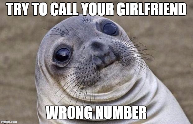 Awkward Moment Sealion | TRY TO CALL YOUR GIRLFRIEND WRONG NUMBER | image tagged in memes,awkward moment sealion | made w/ Imgflip meme maker