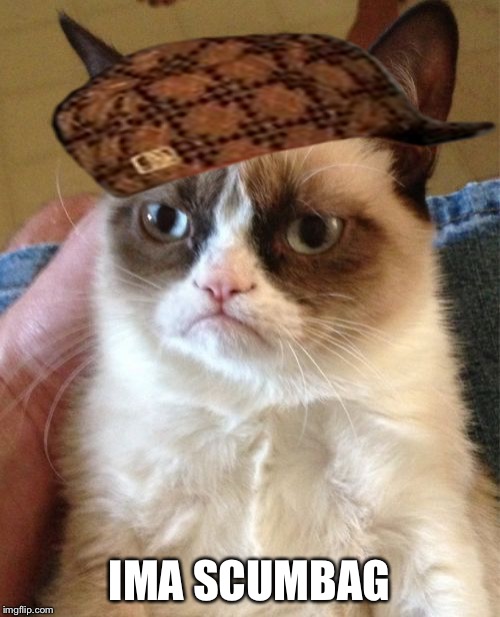 Grumpy Cat Meme | IMA SCUMBAG | image tagged in memes,grumpy cat,scumbag | made w/ Imgflip meme maker