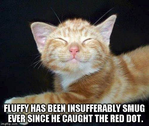 Caught the red dot | FLUFFY HAS BEEN INSUFFERABLY SMUG EVER SINCE HE CAUGHT THE RED DOT. | image tagged in cats,red dot | made w/ Imgflip meme maker