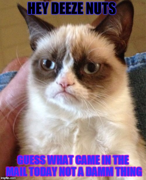 Grumpy Cat | HEY DEEZE NUTS GUESS WHAT CAME IN THE MAIL TODAY NOT A DAMM THING | image tagged in memes,grumpy cat | made w/ Imgflip meme maker