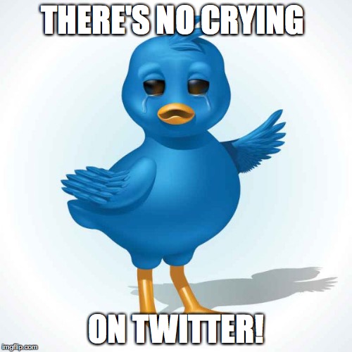 there's no crying on twitter | THERE'S NO CRYING ON TWITTER! | image tagged in twitter,crying,no crying | made w/ Imgflip meme maker