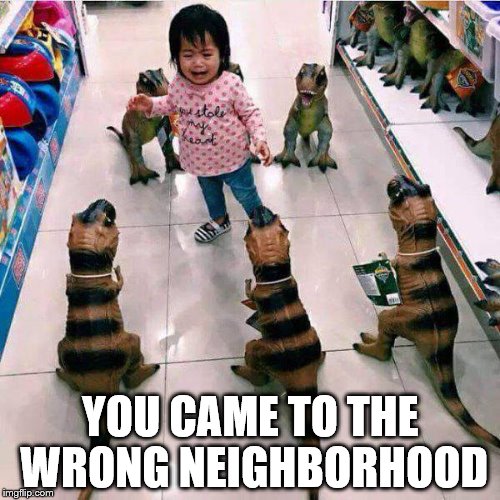 YOU CAME TO THE WRONG NEIGHBORHOOD | image tagged in wrong hood | made w/ Imgflip meme maker