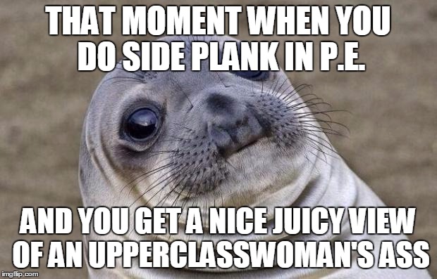 Side plank | THAT MOMENT WHEN YOU DO SIDE PLANK IN P.E. AND YOU GET A NICE JUICY VIEW OF AN UPPERCLASSWOMAN'S ASS | image tagged in memes,awkward moment sealion | made w/ Imgflip meme maker