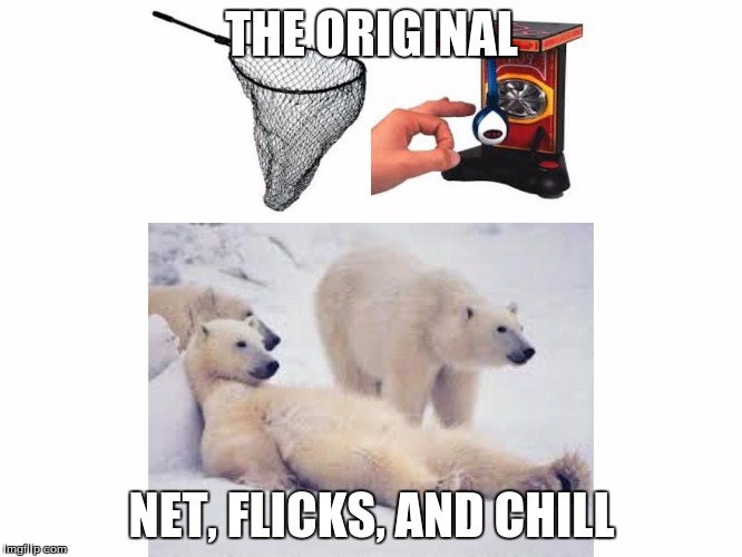 THE ORIGINAL NET, FLICKS, AND CHILL | image tagged in netflix and chill,netflix,memes,funny,pun | made w/ Imgflip meme maker