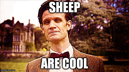 SHEEP ARE COOL | made w/ Imgflip meme maker