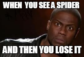 Kevin Hart | WHEN  YOU SEE A SPIDER AND THEN YOU LOSE IT | image tagged in memes,kevin hart the hell | made w/ Imgflip meme maker