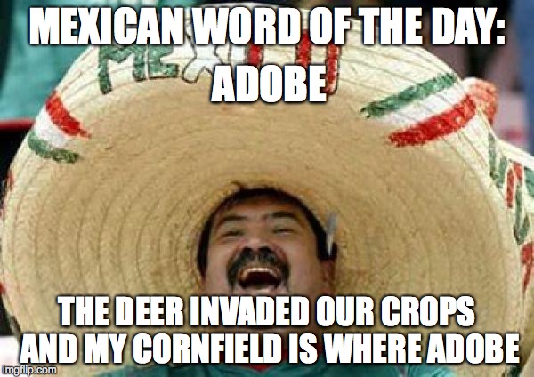 mexican | MEXICAN WORD OF THE DAY: THE DEER INVADED OUR CROPS AND MY CORNFIELD IS WHERE ADOBE ADOBE | image tagged in mexican | made w/ Imgflip meme maker