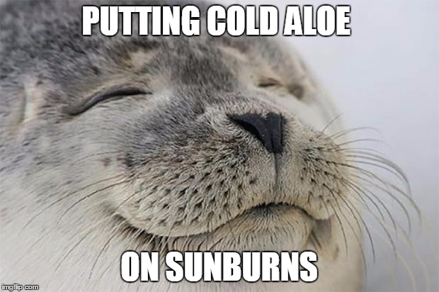 Satisfied Seal Meme | PUTTING COLD ALOE ON SUNBURNS | image tagged in memes,satisfied seal,AdviceAnimals | made w/ Imgflip meme maker