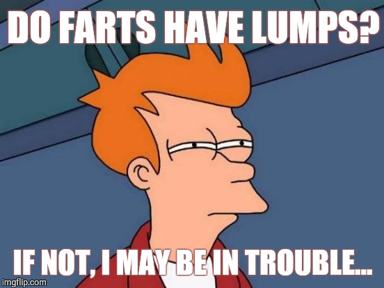 Futurama Fry | DO FARTS HAVE LUMPS? IF NOT, I MAY BE IN TROUBLE... | image tagged in memes,futurama fry | made w/ Imgflip meme maker