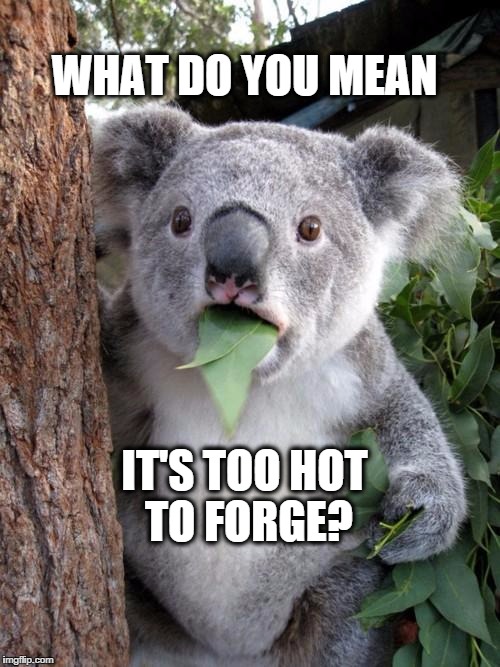 Surprised Koala | WHAT DO YOU MEAN IT'S TOO HOT TO FORGE? | image tagged in memes,surprised koala | made w/ Imgflip meme maker