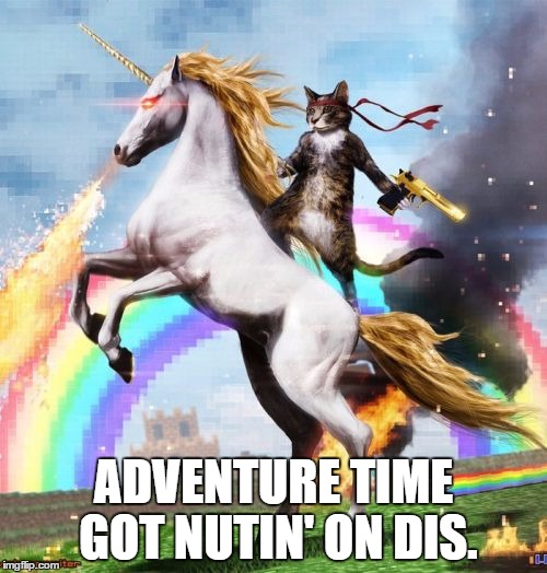 Welcome To The Internets | ADVENTURE TIME GOT NUTIN' ON DIS. | image tagged in memes,welcome to the internets | made w/ Imgflip meme maker