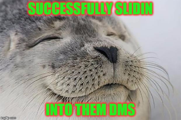 Satisfied Seal | SUCCESSFULLY SLIDIN INTO THEM DMS | image tagged in memes,satisfied seal | made w/ Imgflip meme maker