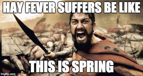 Sparta Leonidas Meme | HAY FEVER SUFFERS BE LIKE THIS IS SPRING | image tagged in memes,sparta leonidas | made w/ Imgflip meme maker