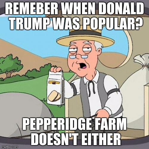 Pepperidge Farm Remembers | REMEBER WHEN DONALD TRUMP WAS POPULAR? PEPPERIDGE FARM DOESN'T EITHER | image tagged in memes,pepperidge farm remembers | made w/ Imgflip meme maker