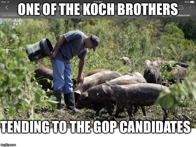 GOP | ONE OF THE KOCH BROTHERS TENDING TO THE GOP CANDIDATES | image tagged in money money | made w/ Imgflip meme maker