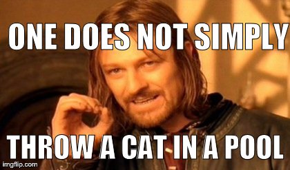 You can try... | ONE DOES NOT SIMPLY THROW A CAT IN A POOL | image tagged in memes,one does not simply | made w/ Imgflip meme maker