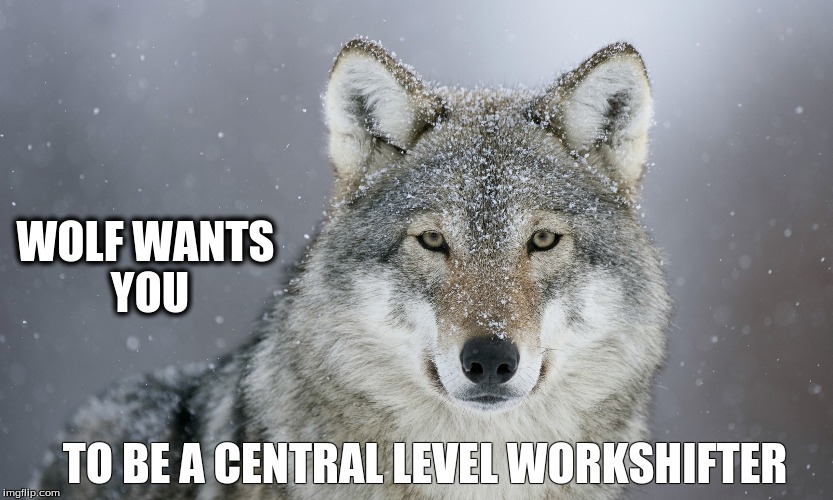Wolf we want it. Facts about Wolves. Wolf interesting facts. Fact files about Wolves. About Wolves for Kids.