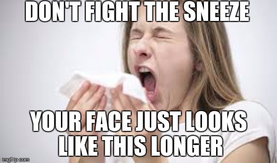 The Sneeze | DON'T FIGHT THE SNEEZE YOUR FACE JUST LOOKS LIKE THIS LONGER | image tagged in memes | made w/ Imgflip meme maker