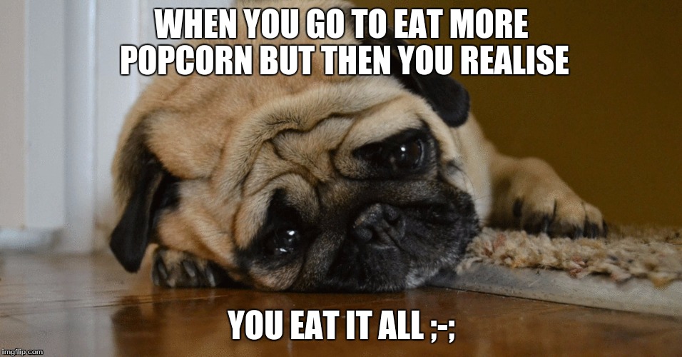 WHEN YOU GO TO EAT MORE POPCORN BUT THEN YOU REALISE YOU EAT IT ALL ;-; | image tagged in truth | made w/ Imgflip meme maker