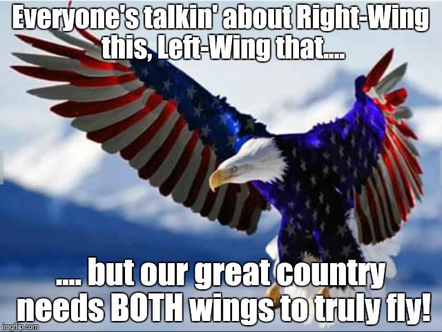 United We Stand | Everyone's talkin' about Right-Wing this, Left-Wing that.... .... but our great country needs BOTH wings to truly fly! | image tagged in bald eagle,patriotic eagle,us flag | made w/ Imgflip meme maker